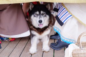 Īstās latvju saimnieces